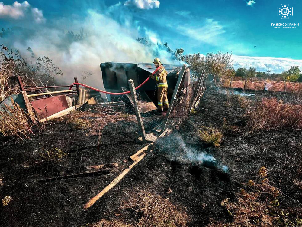 На Миколаївщині знову горіли сухостої - на одного з паліїв складено адміністративний протокол (ФОТО) 4