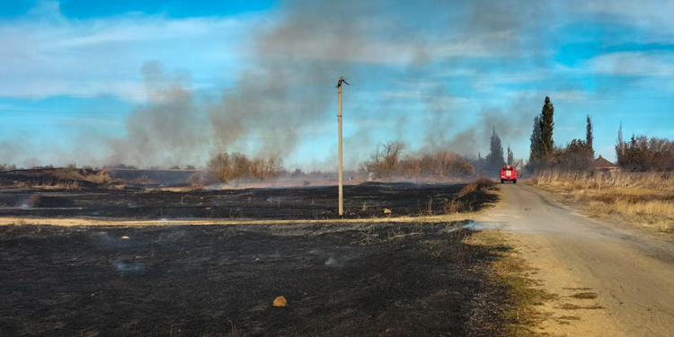 На Миколаївщині знову доба пожеж сухостоїв (ФОТО)