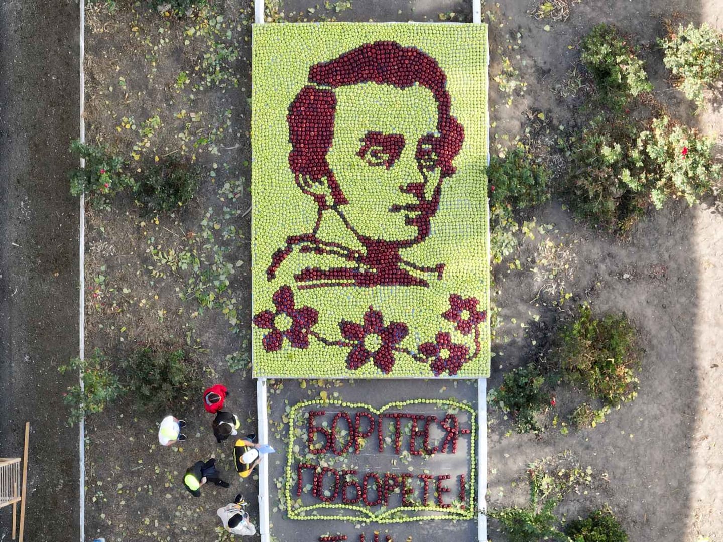 Учні ліцею на Одещині виклали портрет Шевченка з яблук і встановили рекорд (ФОТО, ВІДЕО)