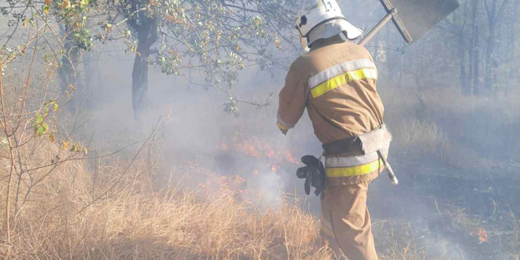 За минулу добу на Миколаївщині виникло 13 пожеж (ФОТО)