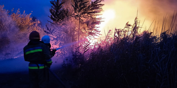 Минулої доби на Миколаївщині зареєстровано 28 пожеж (ФОТО)