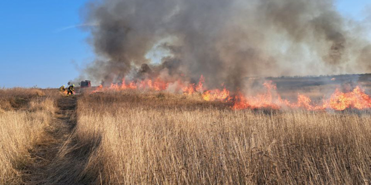 З 21 пожежі за добу на Миколаївщині одна виникла через російські обстріли (ФОТО)