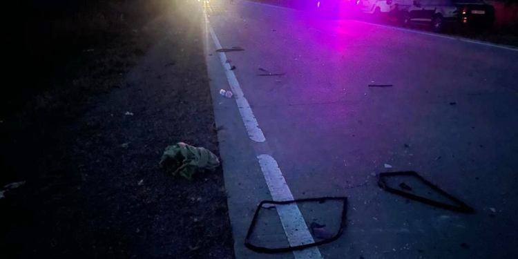 Смертельна ДТП на Миколаївщині – водій і пасажир мікроавтобуса загинули, інші в лікарні (ФОТО)