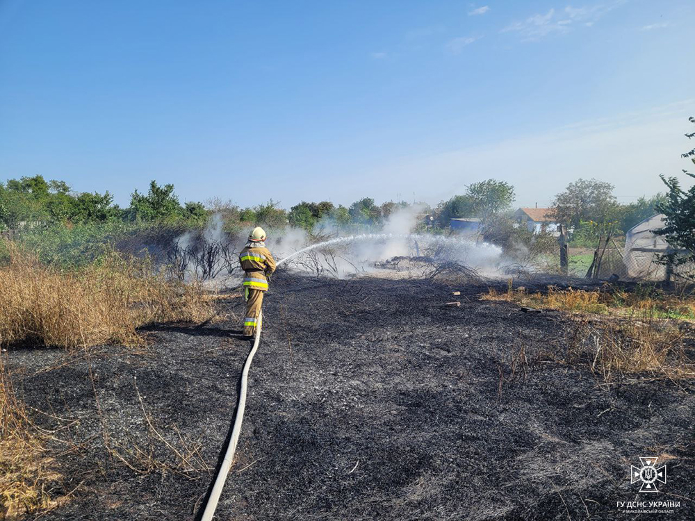 Минулої доби вогнеборці Миколаївщини ліквідували 21 пожежу (ФОТО) 6