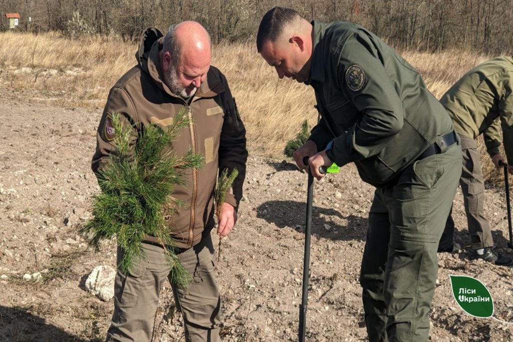 На Миколаївщині та Одещині почали висаджувати нові ліси (ФОТО) 6