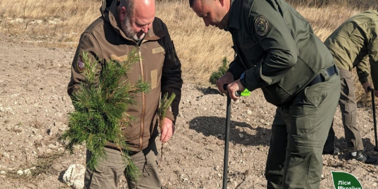 На Миколаївщині та Одещині почали висаджувати нові ліси (ФОТО)