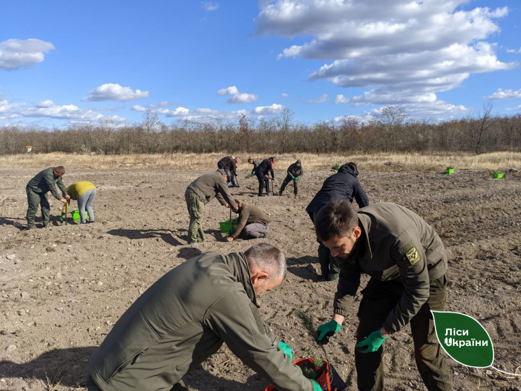 На Миколаївщині та Одещині почали висаджувати нові ліси (ФОТО) 8