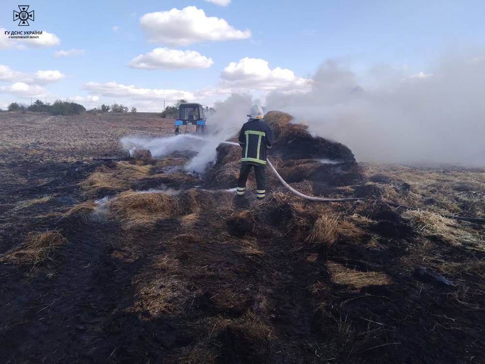 За добу на Миколаївщині зареєстровано 18 пожеж (ФОТО) 8