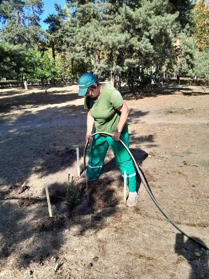 В миколаївському парку «Ліски» висадили саджанці сосни, які подарував польський парк (ФОТО) 10