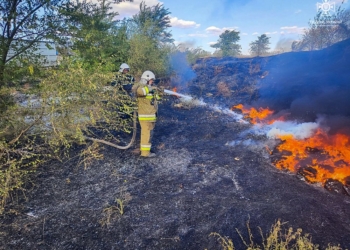 За добу на Миколаївщині рекордна кількість пожеж – 51. Одна з них виникла через російську атаку (ФОТО)