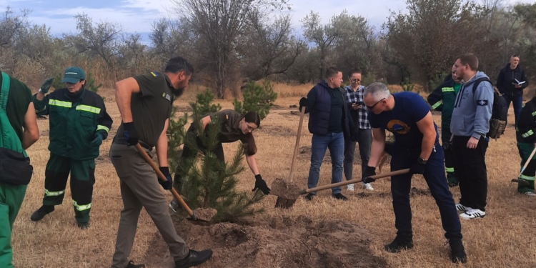 У парку Перемоги в Миколаєві висадили сосни (ФОТО)