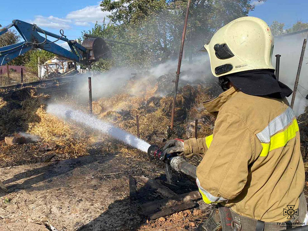 За добу на Миколаївщині зареєстровано 18 пожеж (ФОТО) 14