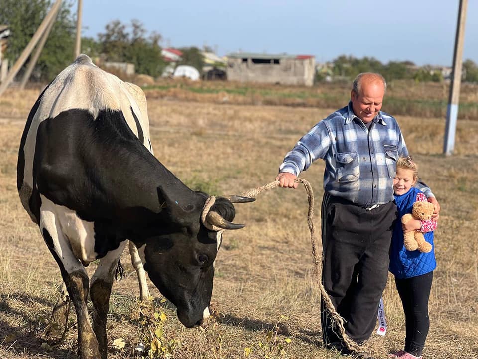 На Миколаївщині мешканці постраждалих від російської агресії громад отримали ще 24 корови (ФОТО) 16