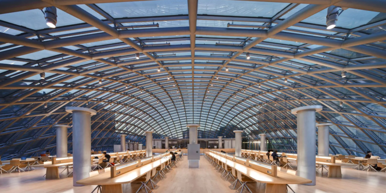 В Чікаго об скляний виставковий центр за одну ніч розбилася тисяча птахів. Чому? (ФОТО)