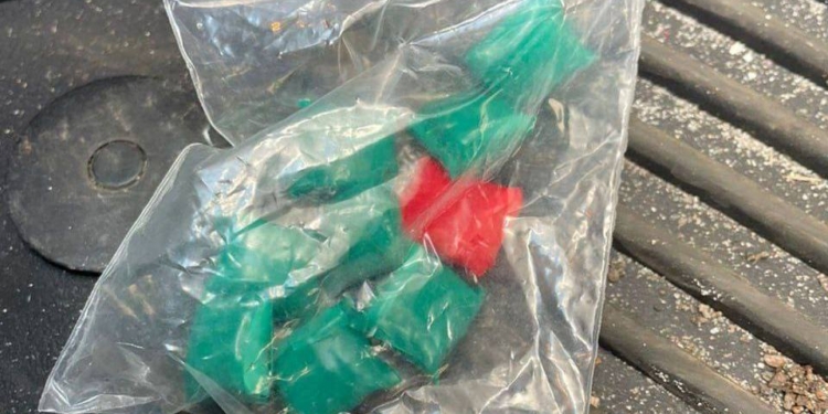 У Миколаєві патрульні затримали «закладників» (ФОТО)