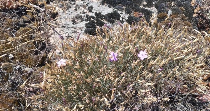 В антирейтингу областей за кількістю громад, де немає обє’ктів природно-заповідного фонду, Миколаївщина – сьома