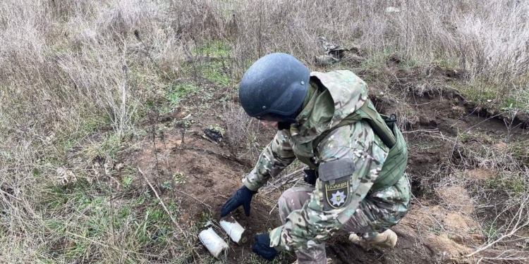 Вибухотехніки поліції Миколаївщини вилучили та знешкодили понад 8 тисяч вибухонебезпечних предметів (ФОТО)