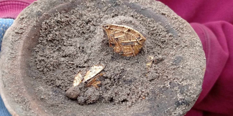 На Київщині археологи знайшли золотий скарб часів Гетьманщини (ФОТО)