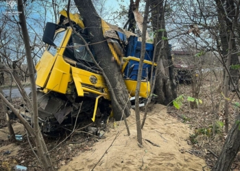 На Миколаївщині в ДТП загинув водій вантажівки (ФОТО)