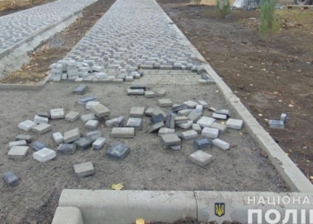 На Миколаївщині п’яний молодик зламав 22 туї на Алеї Слави і розкидав тротуарну плитку (ФОТО)