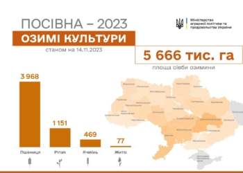 В Україні вже посіяно майже 5,7 млн га озимих культур