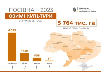В Україні вже посіяно майже 5,8 млн га озимих культур