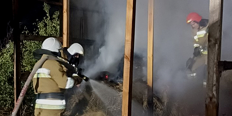 На Миколаївщині вночі загасили господарчу споруду