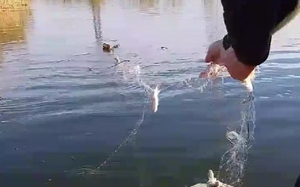 З Південного Бугу на Миколаївщині держекоінспектори вилучили чергові браконьєрські сітки (ВІДЕО)