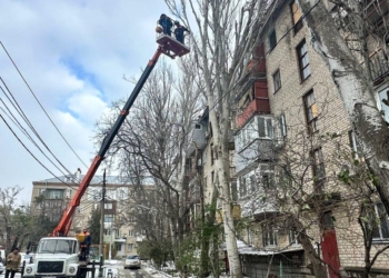 У Миколаєві негода повалила або пошкодила 120 дерев (ФОТО, ВІДЕО)