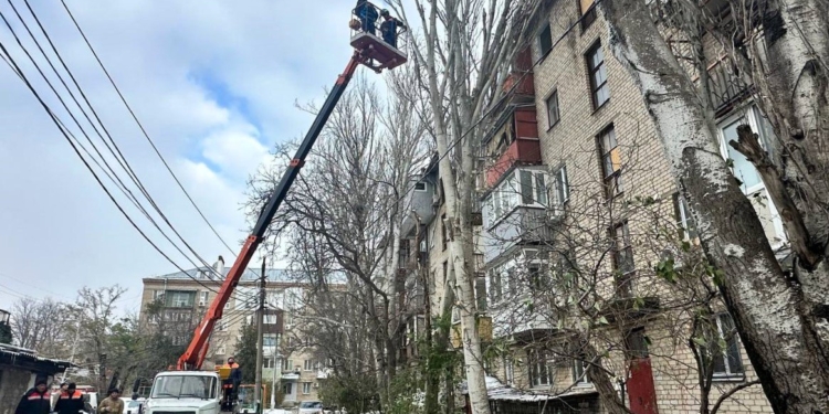 У Миколаєві негода повалила або пошкодила 120 дерев (ФОТО, ВІДЕО)