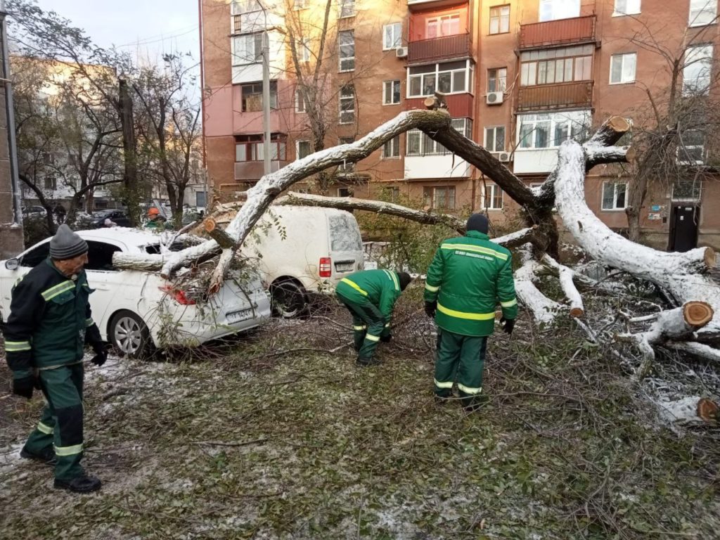 Негода повалила в Миколаєві 130 дерев – за сьогодні прибрали 45 (ФОТО) 2