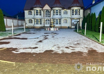 На Закарпатті обирали місцевого “барона” – виборці побилися, одного вбили лопатою (ФОТО, ВІДЕО)
