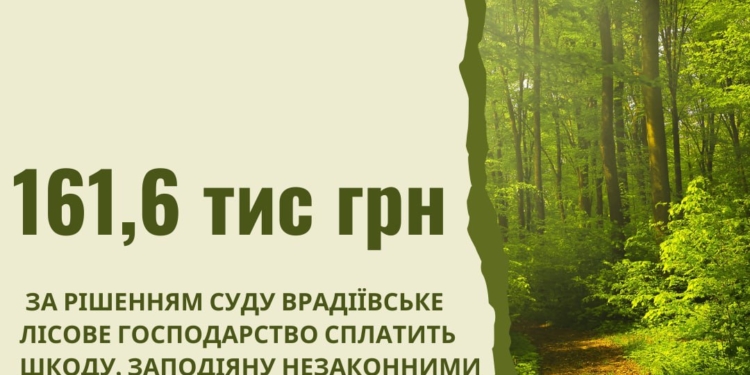 Врадіївський лісгосп на Миколаївщині має заплатити понад 160 тис.грн. за незаконну порубку дерев три роки тому