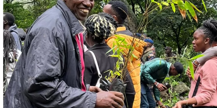 Кенія зупинилась на день – щоб висадити 100 млн. дерев (ФОТО)