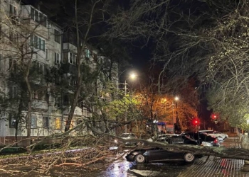 В Криму від буревію постраждало 7 людей
