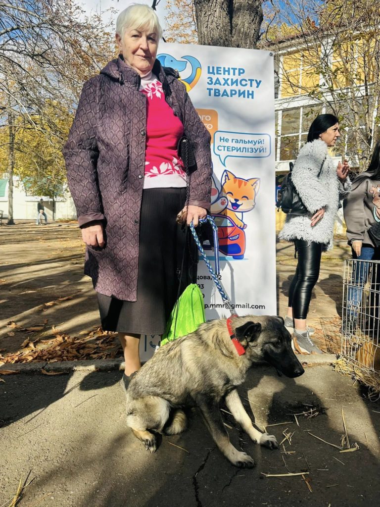 Виставка-прилаштування безпритульних тварин у Миколаєві: ще понад 40 собак та котів знайшли власників (ФОТО) 26