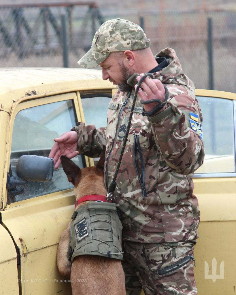 Європейський союз передав другу групу підготовлених собак-саперів Україні: історія Степана та Інес (ФОТО)   4