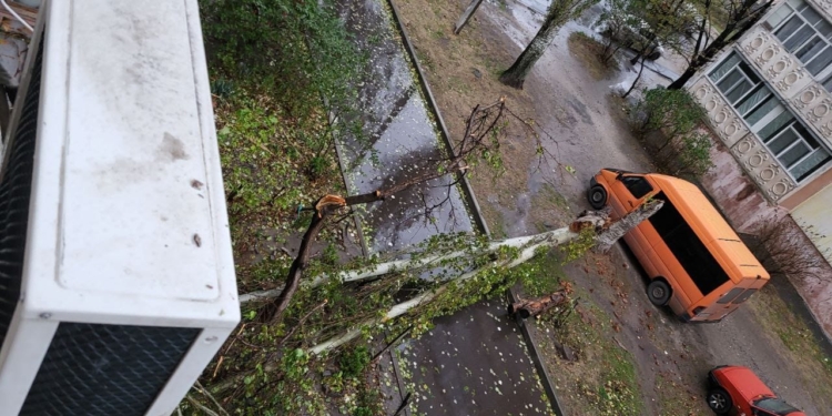 У Миколаєві через негоду впало 10 дерев (ФОТО)