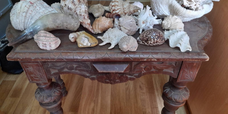 Миколаївський краєзнавчий музей знов отримав дарунки від містян в свою колекцію (ФОТО)