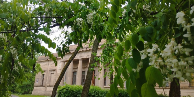 У Миколаєві проектують парк-пам’ятку садово-паркового мистецтва – на території обсерваторії (ФОТО)