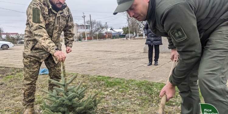 Снігурівська громада Миколаївщини передала найбільшу в Україні площу земель під заліснення (ФОТО)