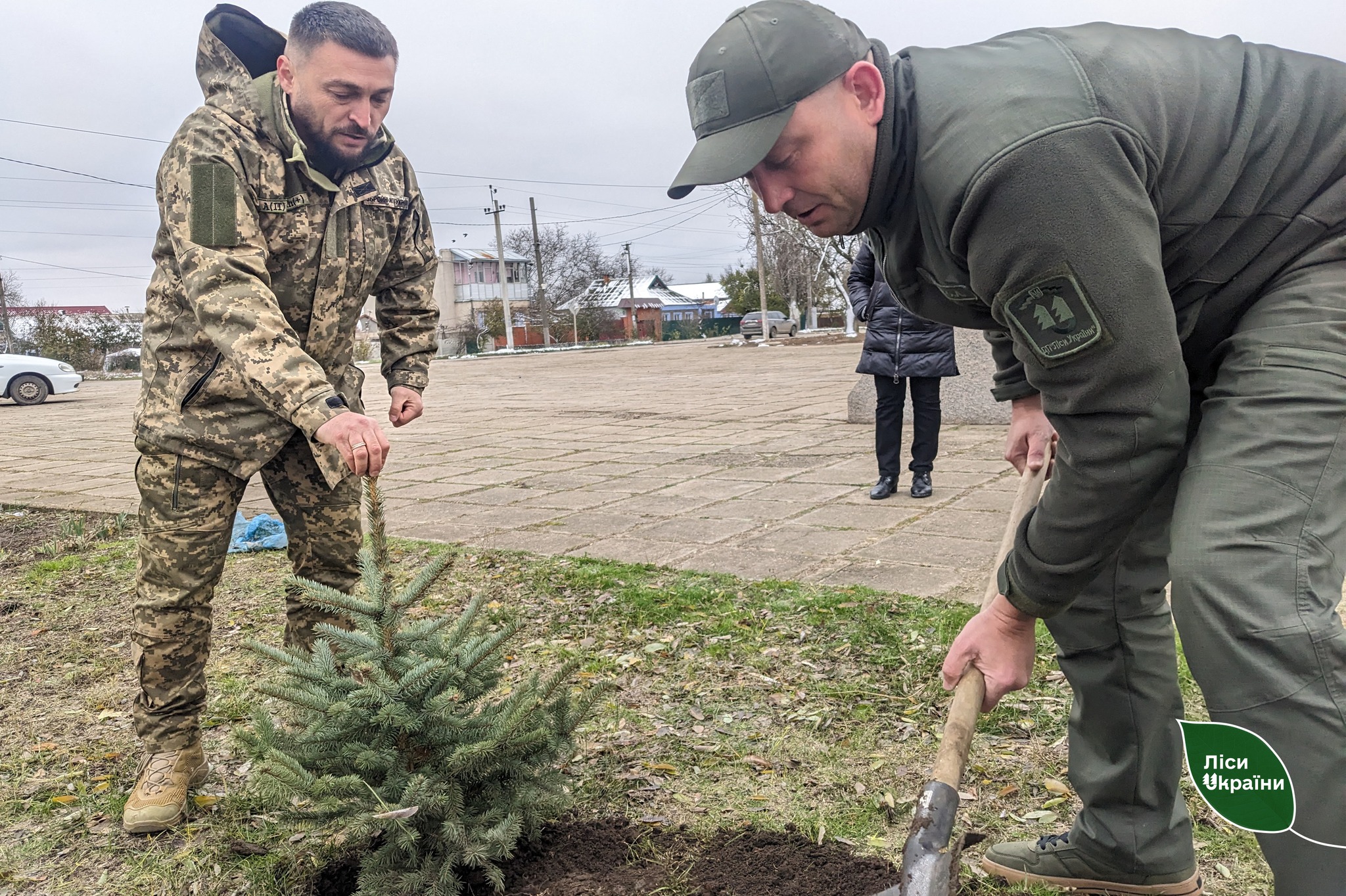 Снігурівська громада Миколаївщини передала найбільшу в Україні площу земель під заліснення (ФОТО)