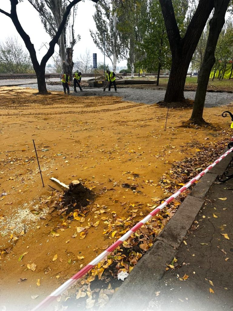 На Верхньому БАМі в Миколаєві посеред дерев почали будувати спортмайданчик – Держекоінспекція викликала поліцію (ФОТО) 6