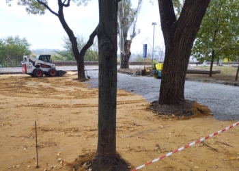 На Верхньому БАМі в Миколаєві посеред дерев почали будувати спортмайданчик – Держекоінспекція викликала поліцію (ФОТО)