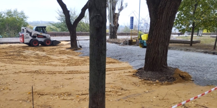 На Верхньому БАМі в Миколаєві посеред дерев почали будувати спортмайданчик – Держекоінспекція викликала поліцію (ФОТО)