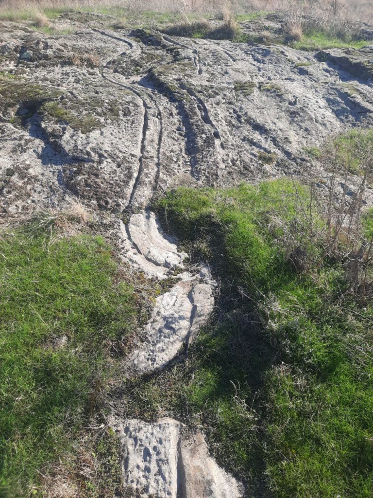 "Софіївські змії": на Миколаївщині виявлено унікальний петрогліф (ФОТО) 8