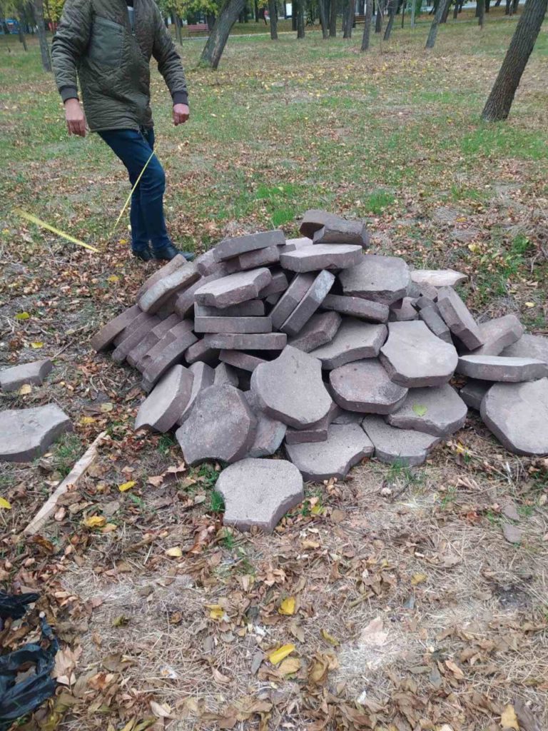 У парку Перемоги в Миколаєві знищено зелені насадження та засмічено земельні ділянки – Держекоінспекція до поліції з заявою про злочин (ФОТО) 8