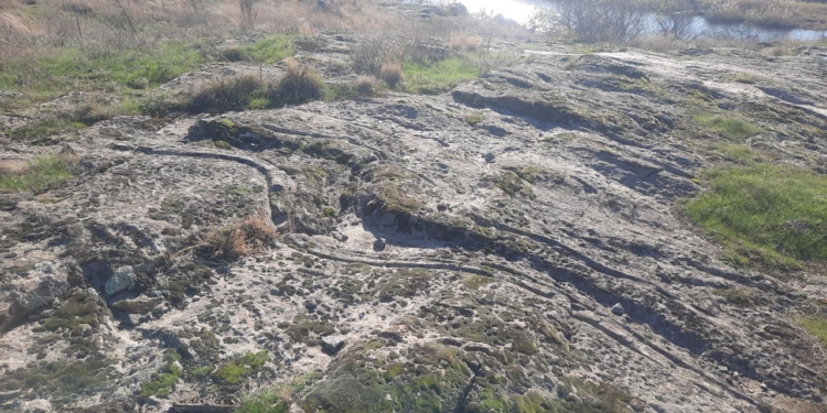 “Софіївські змії”: на Миколаївщині виявлено унікальний петрогліф (ФОТО)