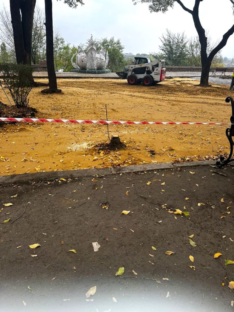 На Верхньому БАМі в Миколаєві посеред дерев почали будувати спортмайданчик – Держекоінспекція викликала поліцію (ФОТО) 12