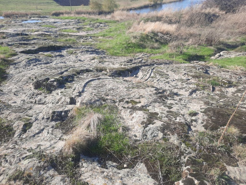 "Софіївські змії": на Миколаївщині виявлено унікальний петрогліф (ФОТО) 12